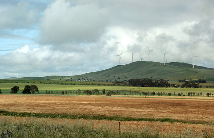 Wind farm in an agricultural landscape.